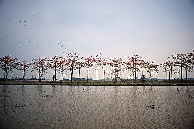 世嘉Hardlight工作室开发一个新的平台类游戏